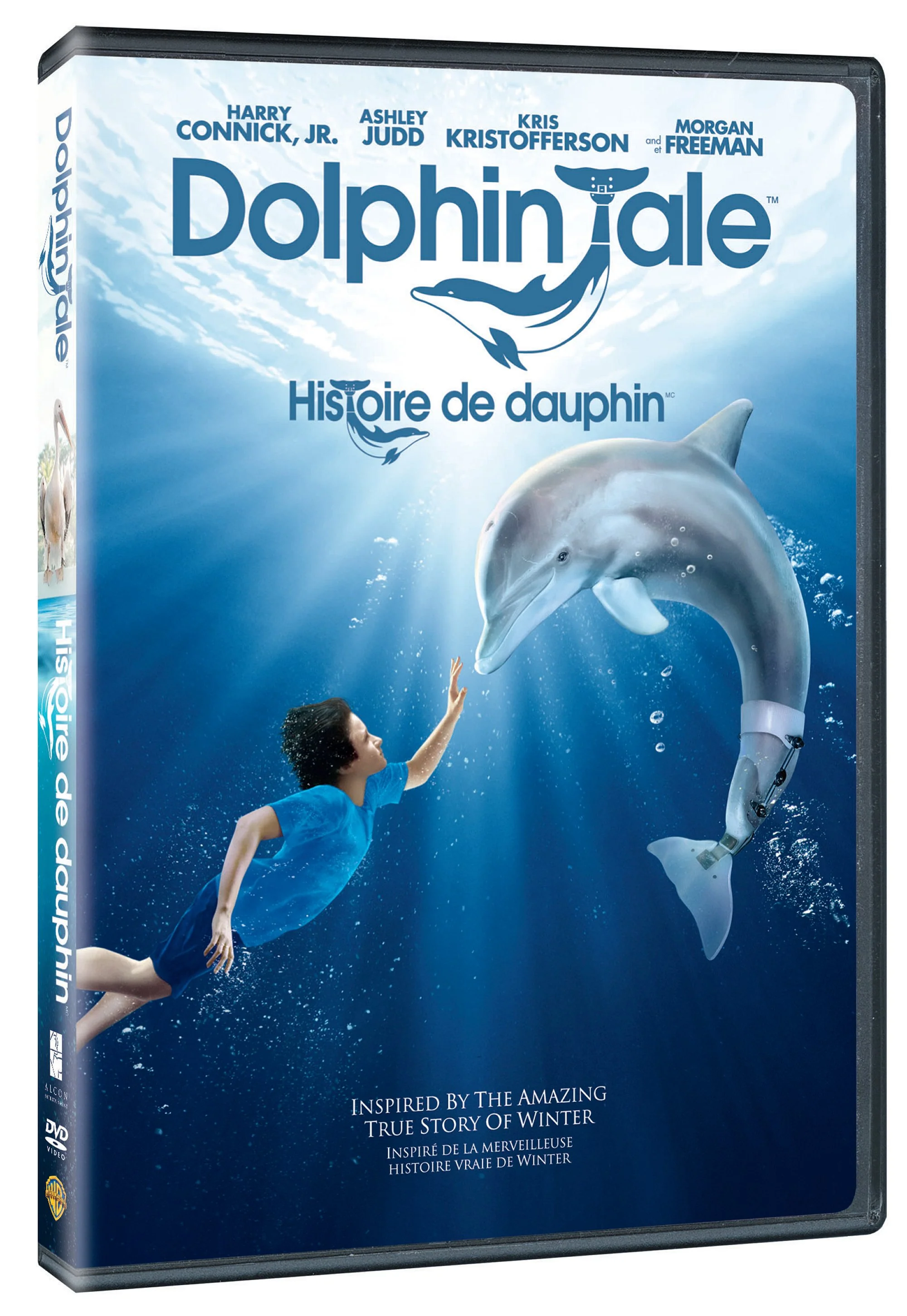 Dolphin Tale [DVD] - Image 2