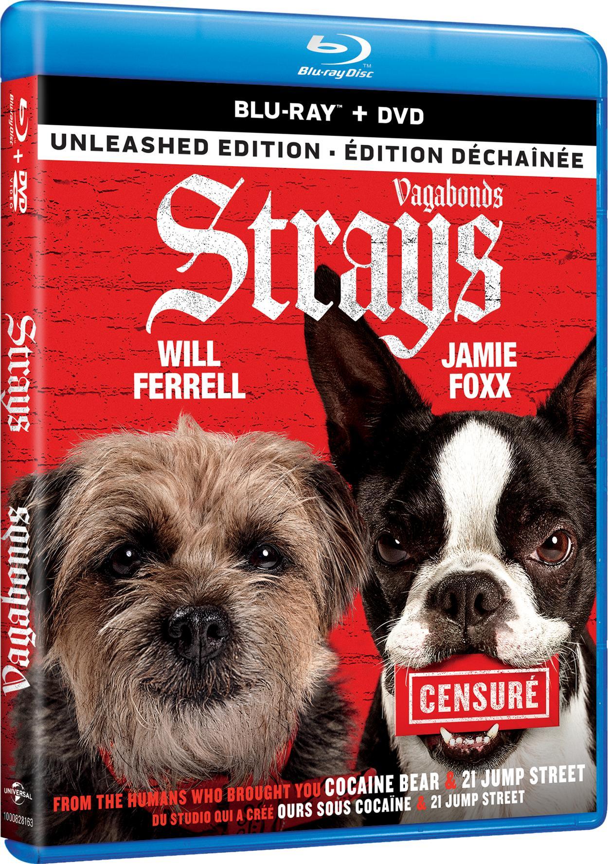 Strays (Blu-ray + DVD) [Blu-Ray] - Image 2