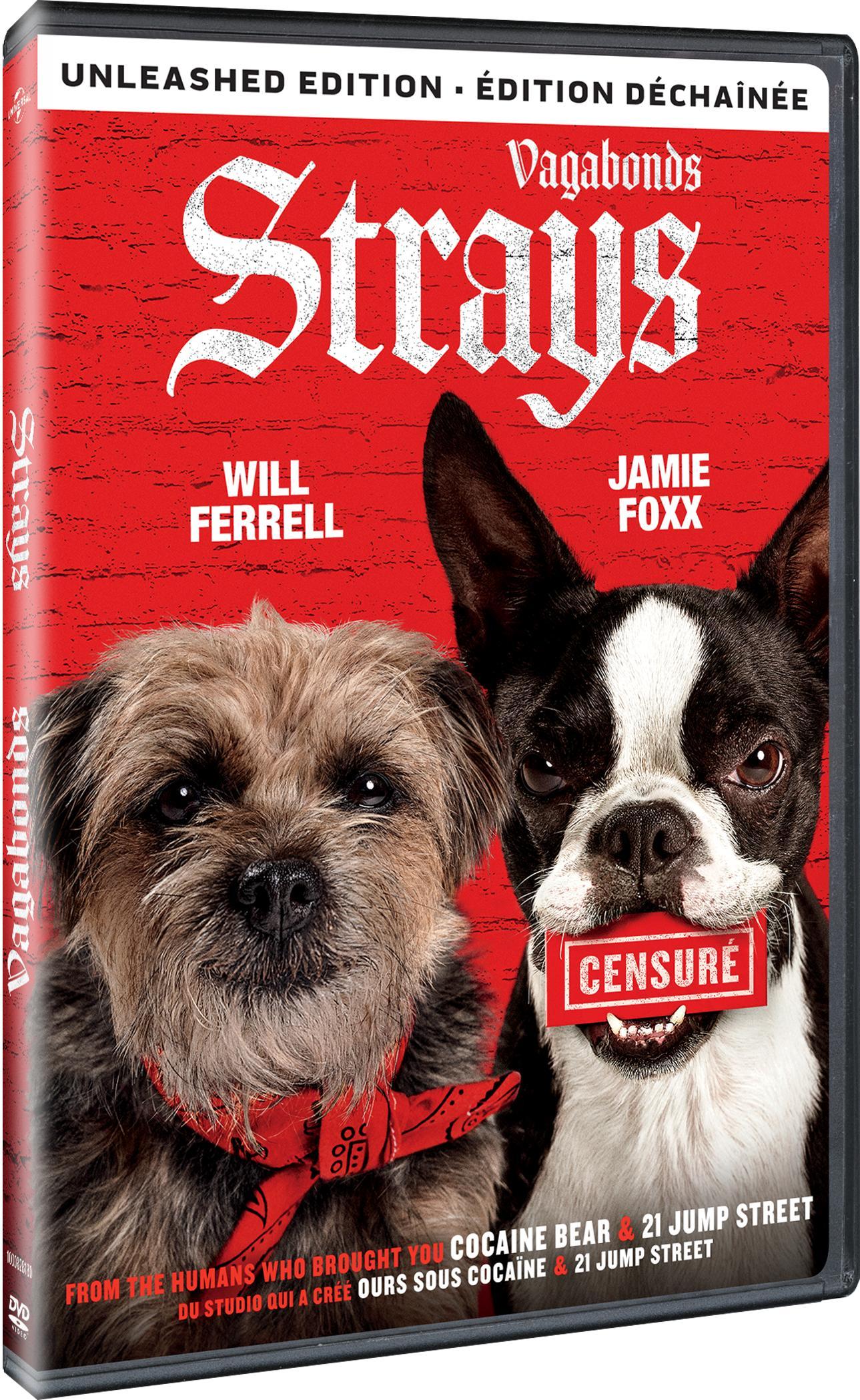 Strays [DVD] - Image 2
